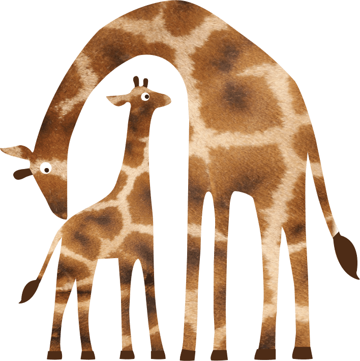 Rothschilds Giraffe Giraffa Camelopardalis Rothschildi Marwell Zoo Cartoon