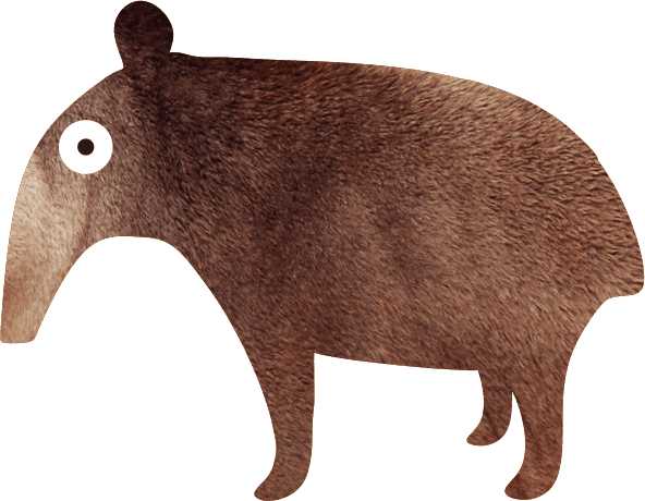 tapir