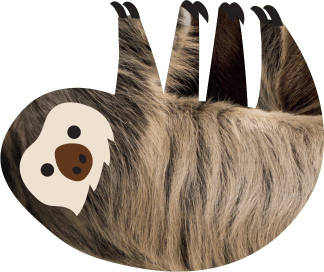 two-toed-sloth