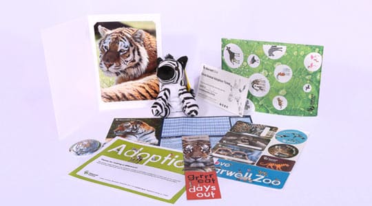 adoption-package-3