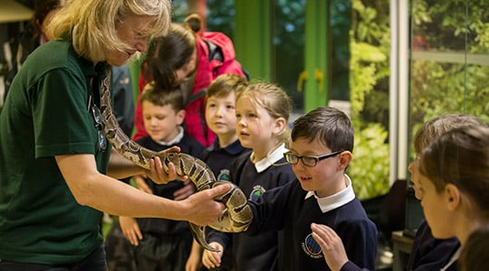 Children on a school trip to Marwell Zoo