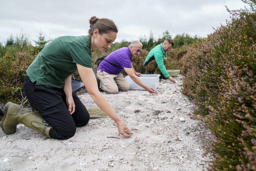 From Left To Right Rachel_gardner_nick_moulton Mark Warn Releasing Lizards