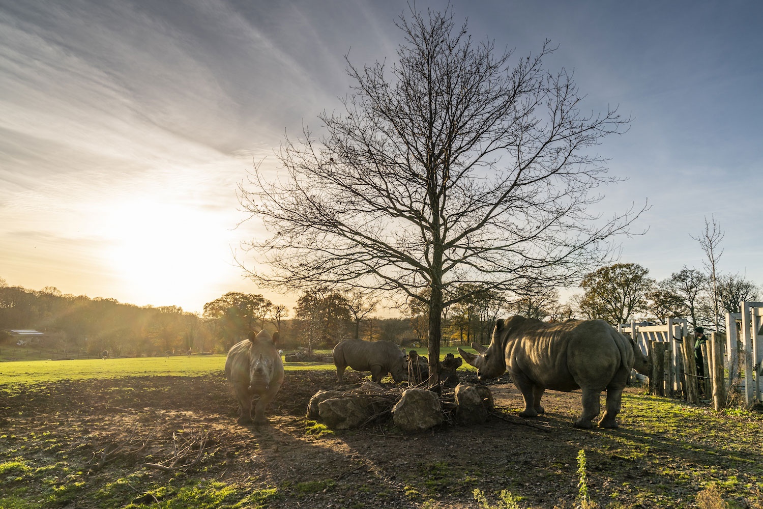 Zoo Photographer Credit Jason Brown Wild Exploeres 3