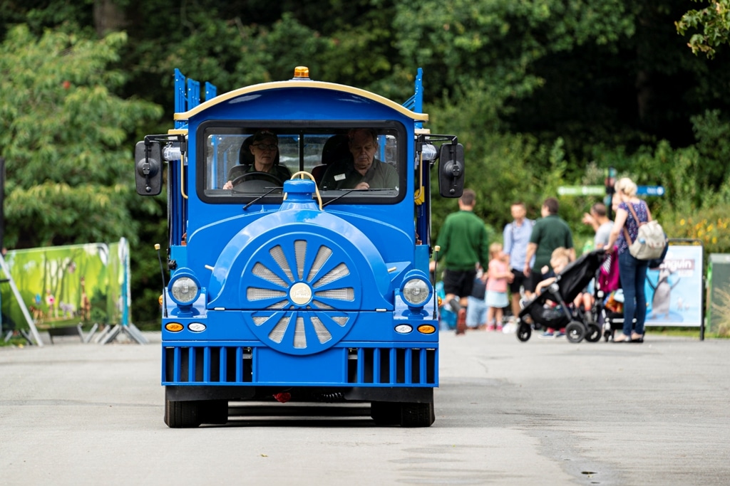 New Road Train