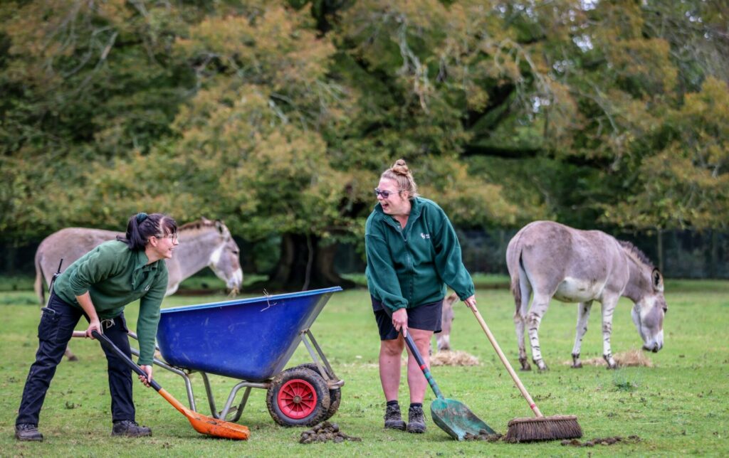 Marwell keepers scoop up animal poo