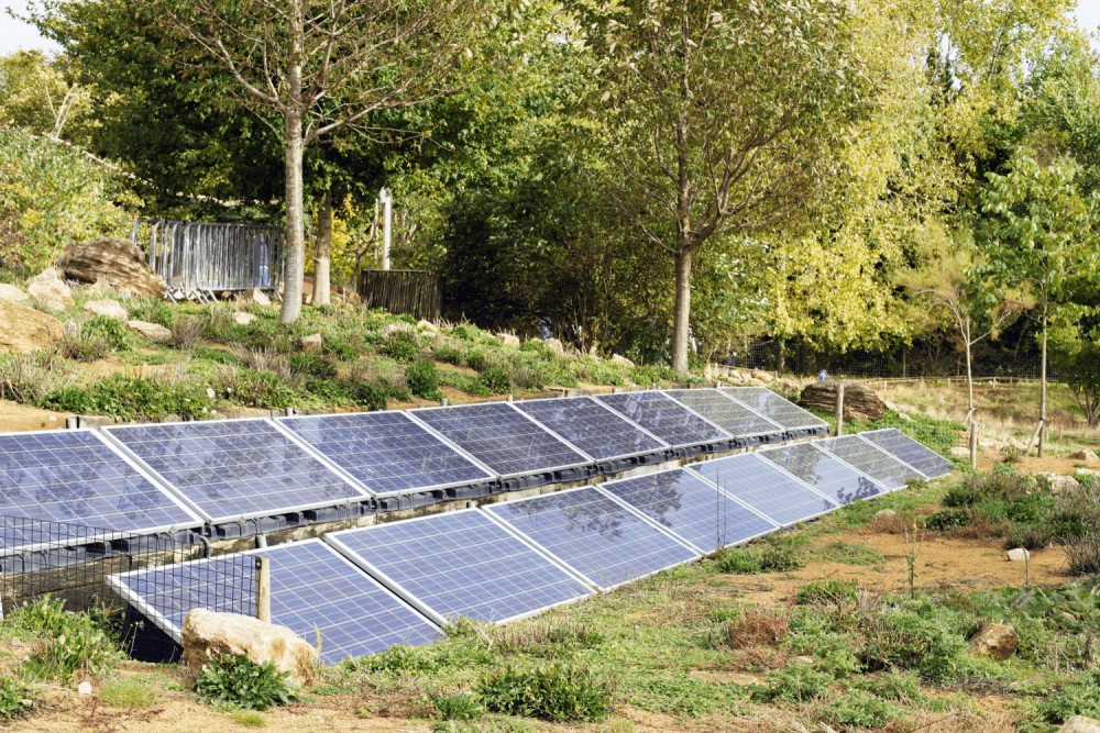 Solar panels at Marwell Zoo