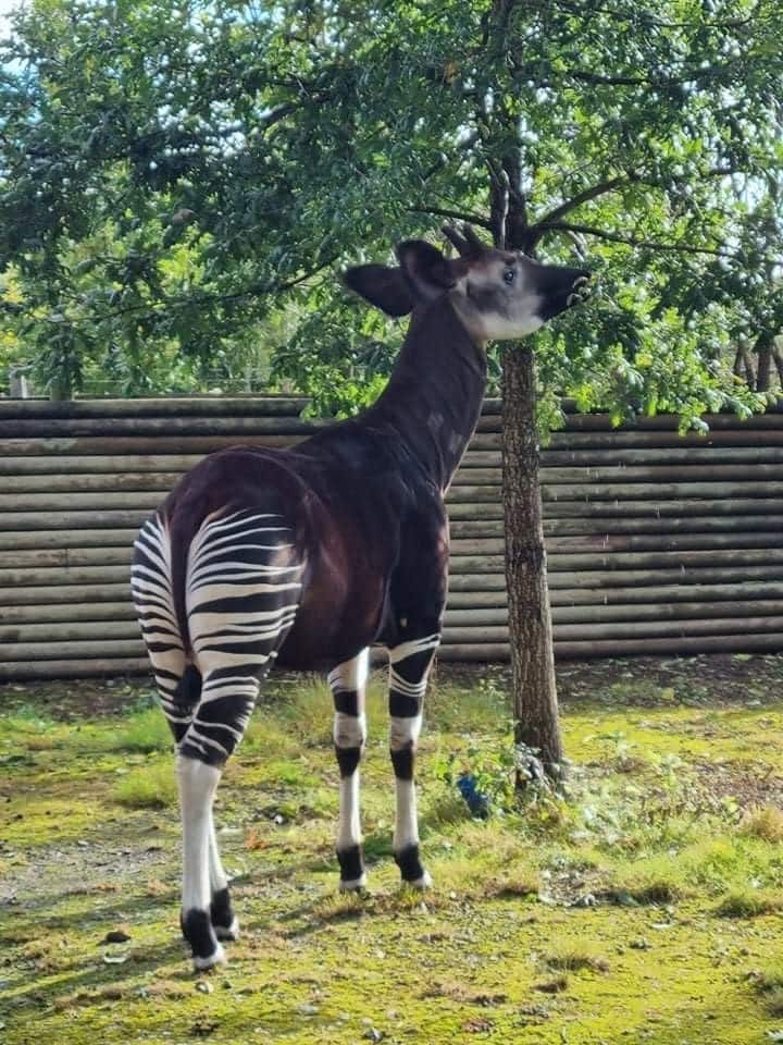 Photo by Keeper Zoe