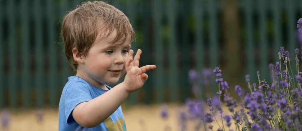 A young child looks at flowers at Marwell Zoo