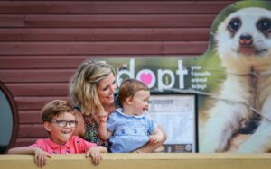 Watching meerkats on a family day out in Hampshire at Marwell Zoo