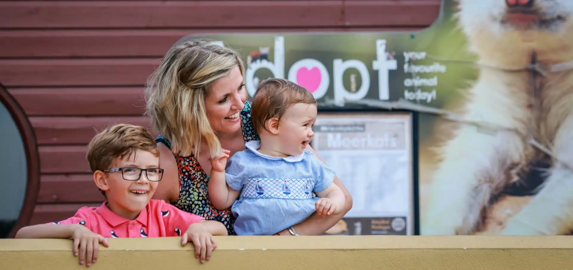 Days out in Hampshire | Family day out near me | Marwell Zoo Days out in Hampshire | Family day out near me | Marwell Zoo