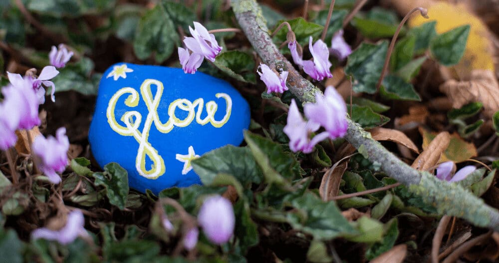 A Glow Marwell branded painted rock sits in the grass with flowers