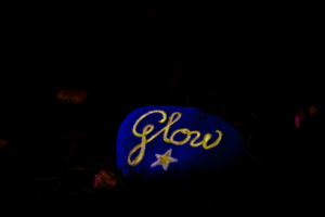 A glow in the dark painted rock at Marwell Zoo