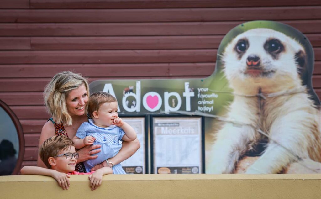 Adopt an animal for Christmas gift idea with Marwell Zoo