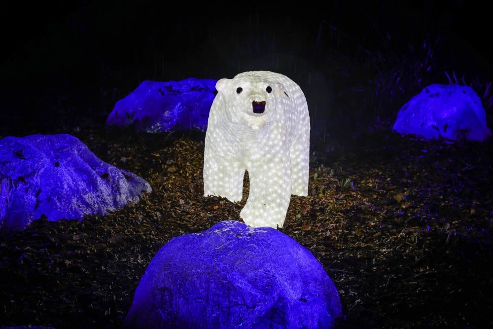 A light up polar bear at Glow Marwell zoo