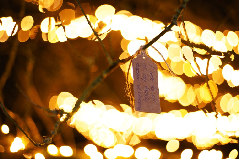 A tree at Marwell Zoo covered in fairy lights and tags.