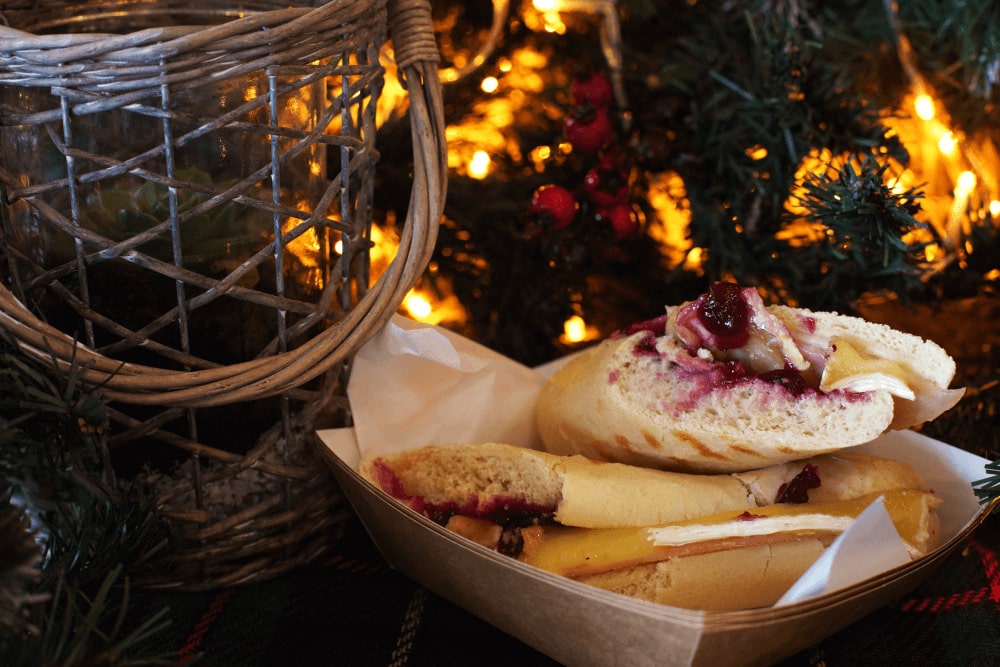 Cranberry and brie panini at Marwell Zoo