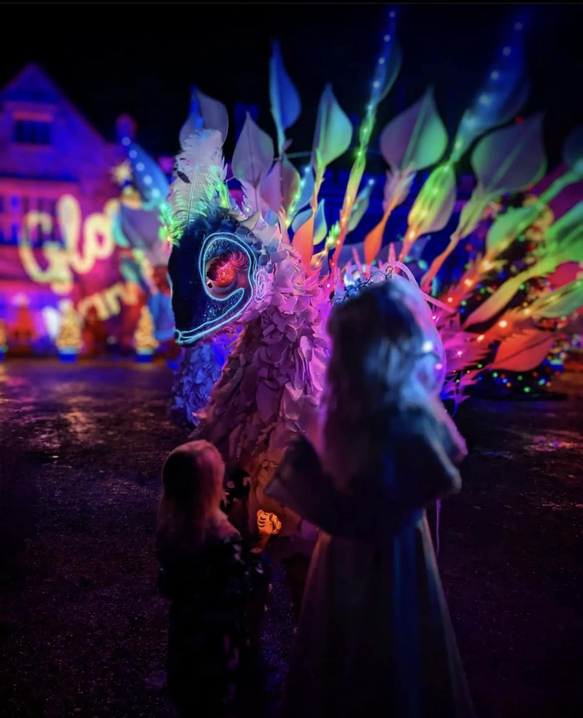 LET IT GLOW, LET IT GLOW, LET IT GLOW - Marwell Zoo