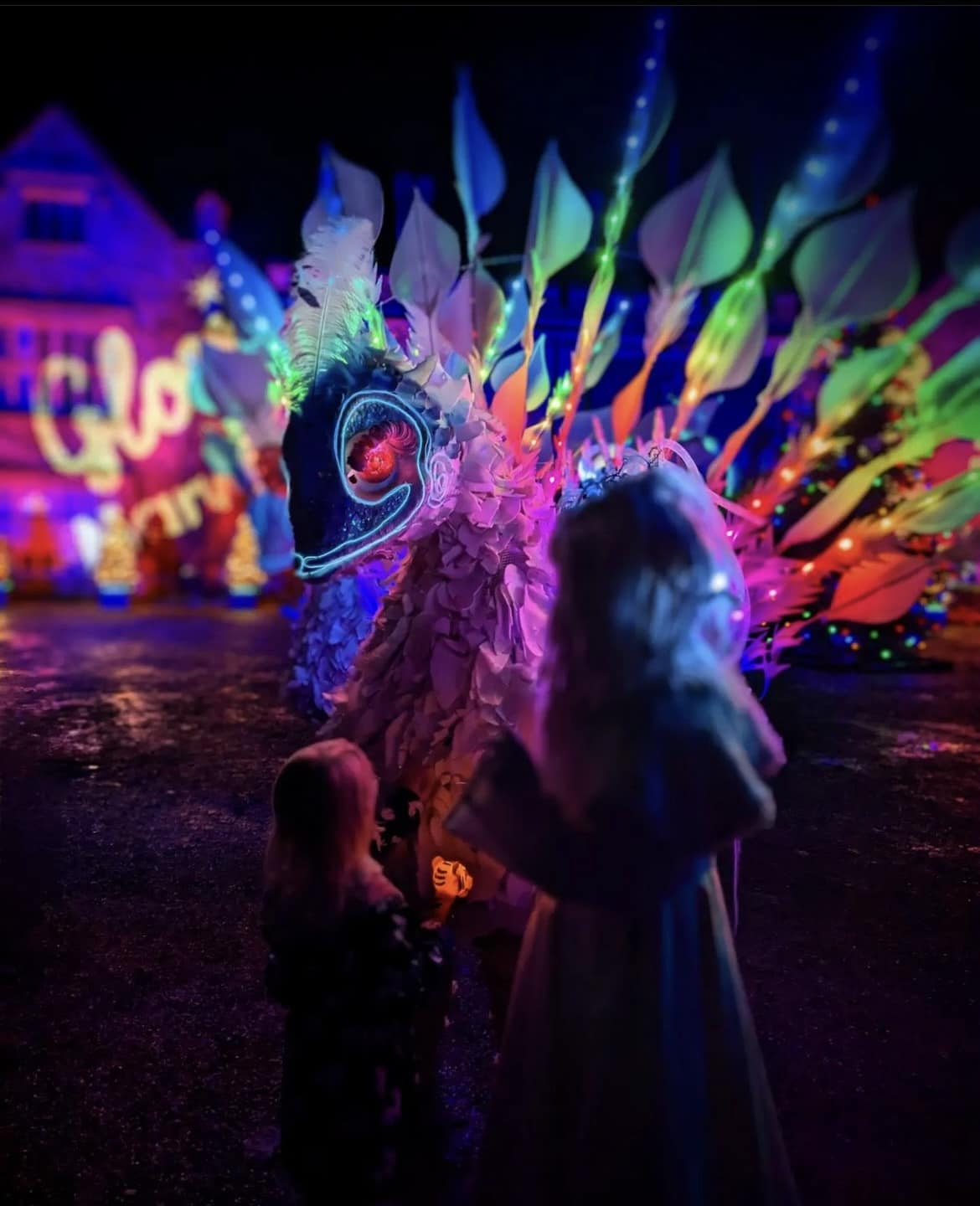 Bird roaming act at Glow Marwell Zoo