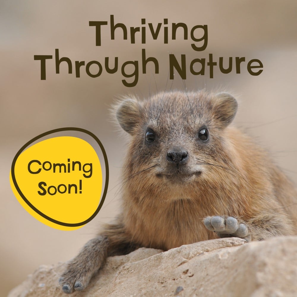 A rock hyrax, plus Thriving Through Nature announcement new exhibit at Marwell Zoo