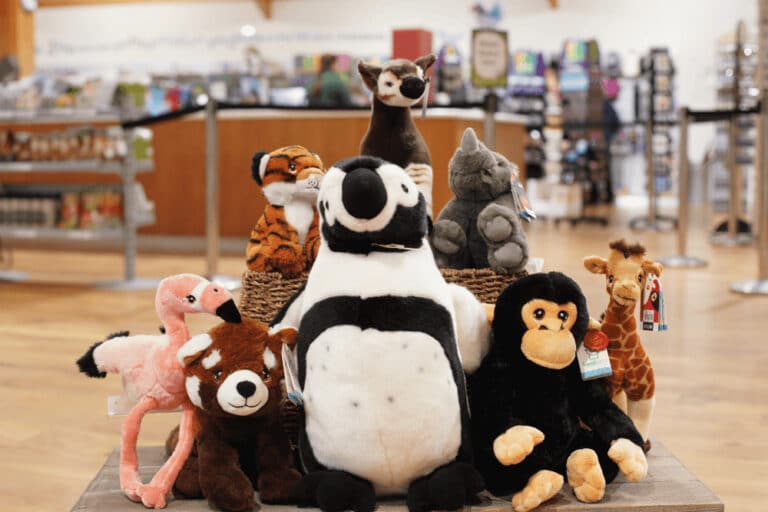 Gift Shop at Marwell Zoo Plan your visit