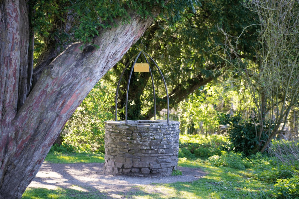 The conservation wishing well at marwell zoo