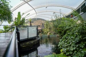 Energy for Life: Tropical House behind the scenes experience at Marwell Zoo