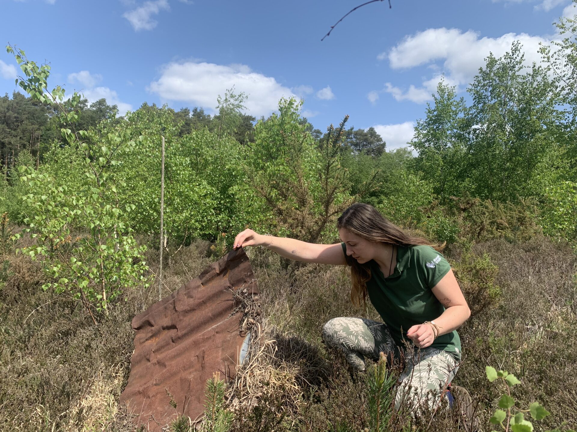 Reptile surveying - Marwell Zoo - Carla Broom