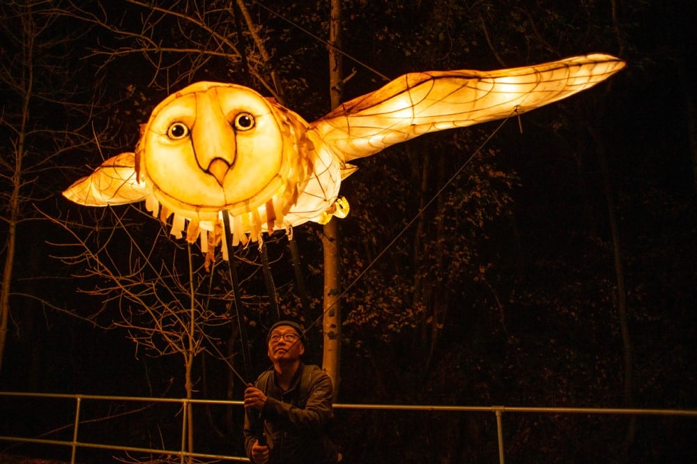 A glowing owl 'soars' through the evening sky, operated by a man underneath.