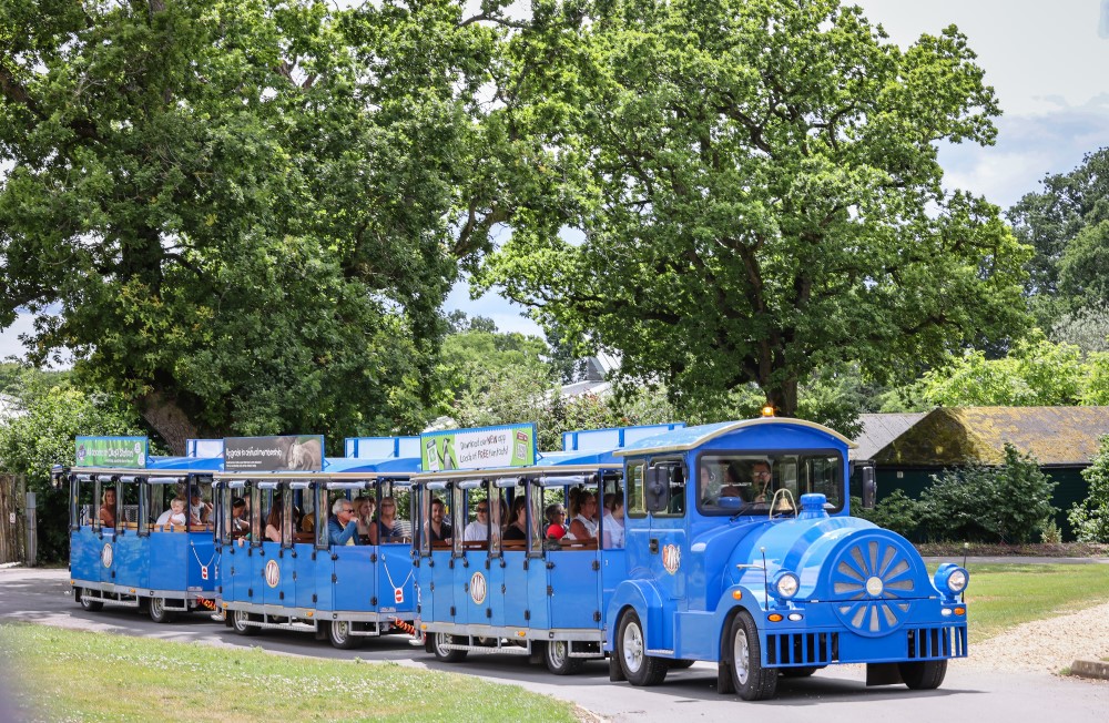 Road Train at Marwell Zoo Plan your visit
