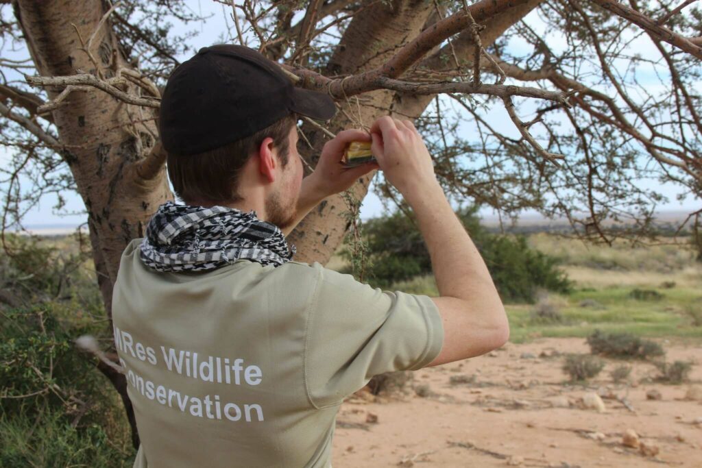 Tom Lewis setting camera traps to monitor biodiversity in Tunisia (credit: Marie Petretto)