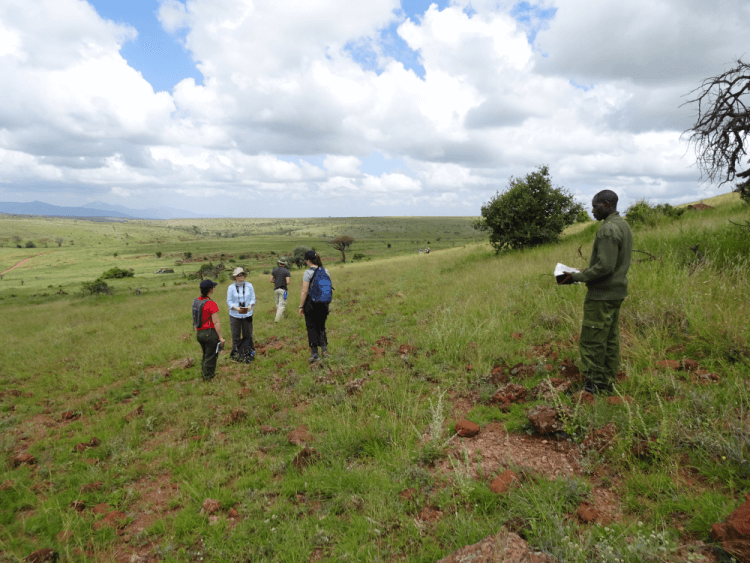 Students design survey transects with conservancy staff in Kenya (credit: Martin Wilkie).