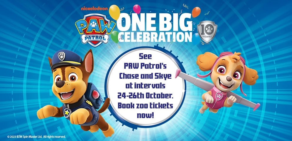 Graphic design with PAW Patrol characters Chase and Skye set to visit Marwell Zoo in October half term.