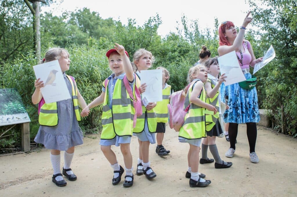 A school group of young children walk around Marwell zoo