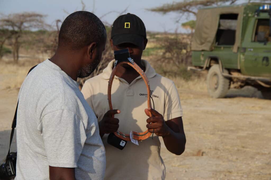 Conservationists in Kenya holding a GPS tracking collar for Grevy's zebra in Kenya