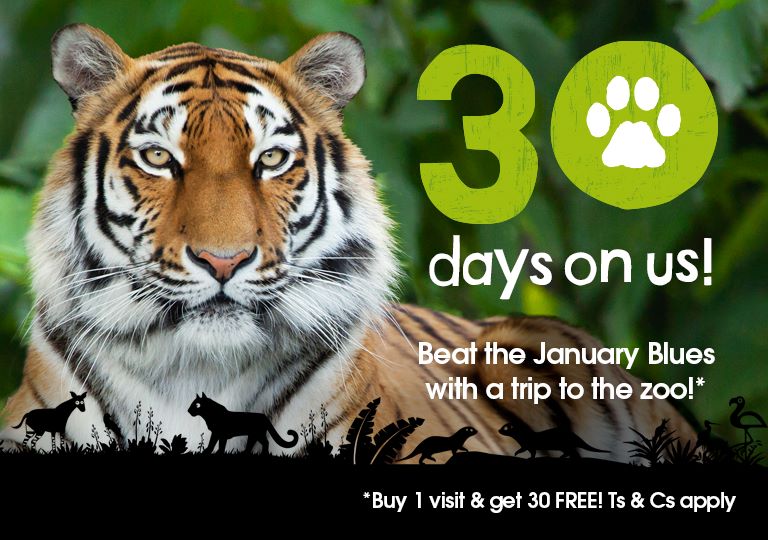 Days out in Hampshire Family day out near me Marwell Zoo