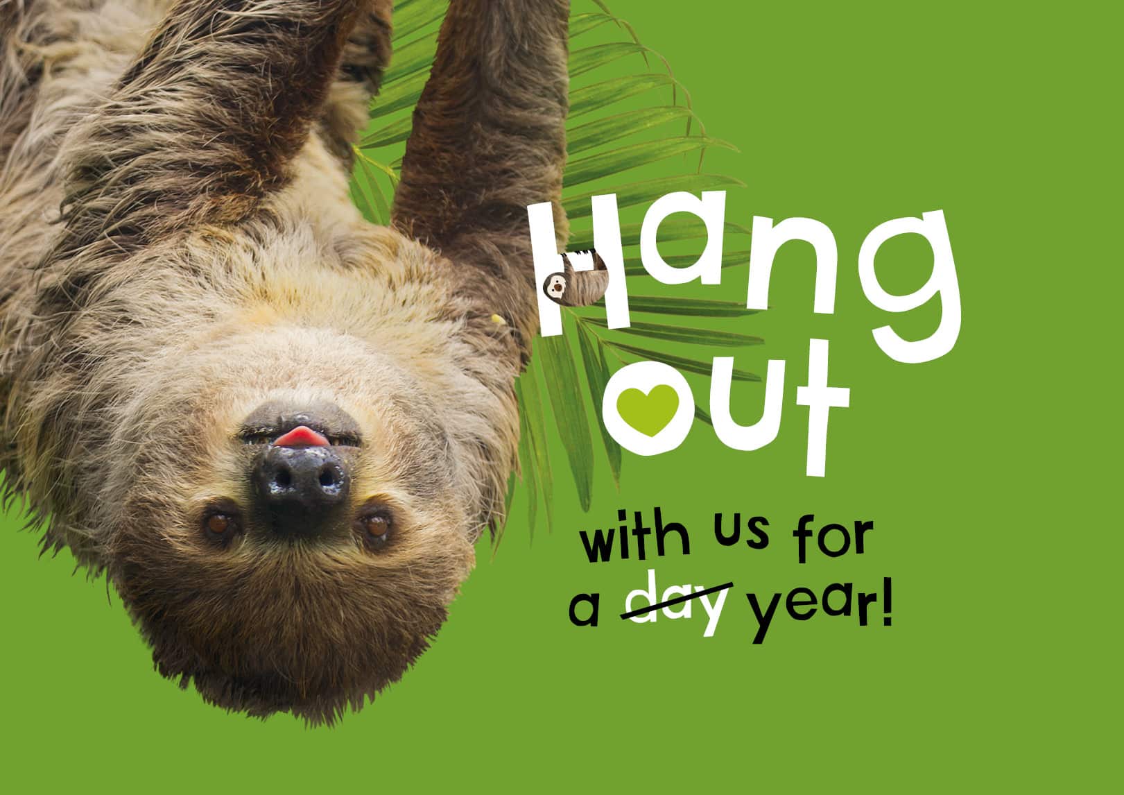 Marwell Zoo - Annual Membership Great Value graphic with a sloth that says