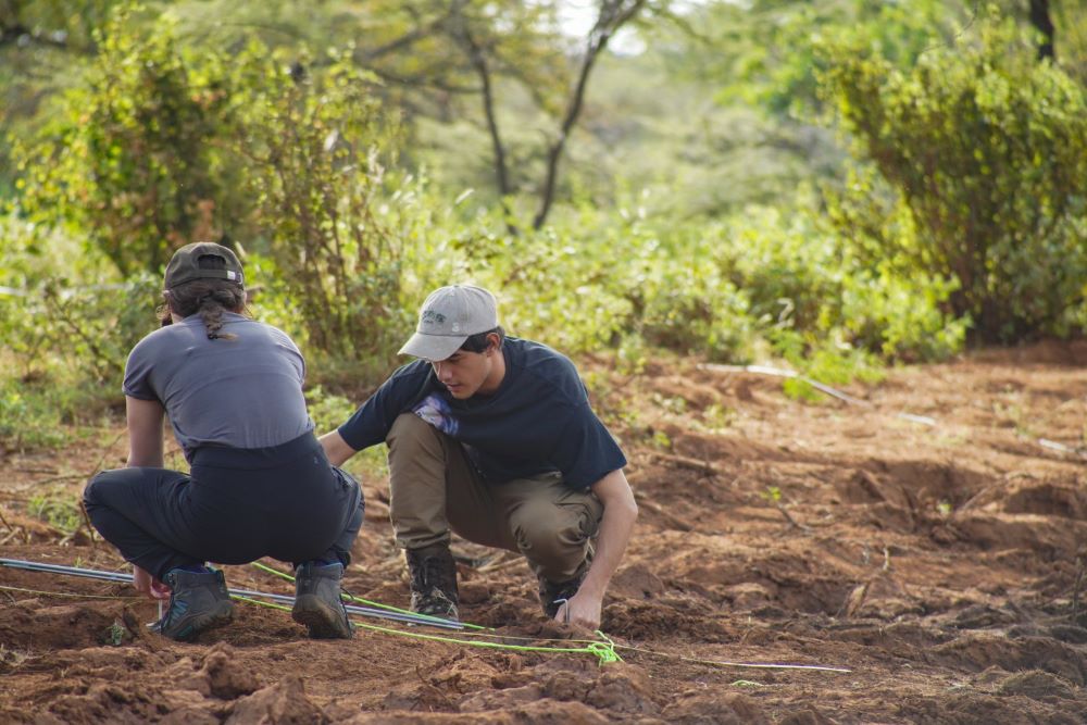 Marwell Wildlife Mres conservation Students at Kalama conservancy, Kenya carrying out transects