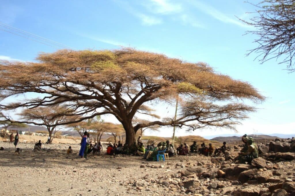 A community meeting in Kenya to discuss Grevy's zebra conservation