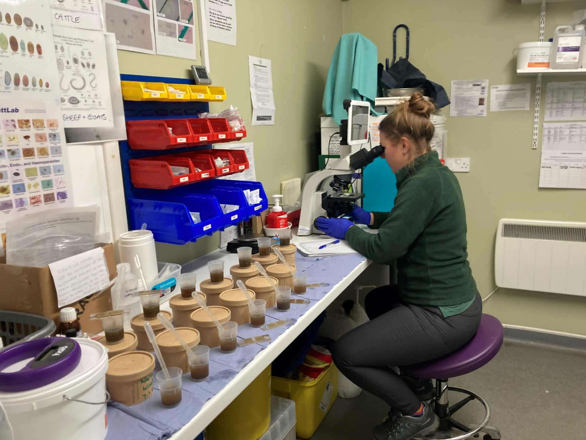 Veterinary Nurse Awareness Month 2024 Marwell Zoo
