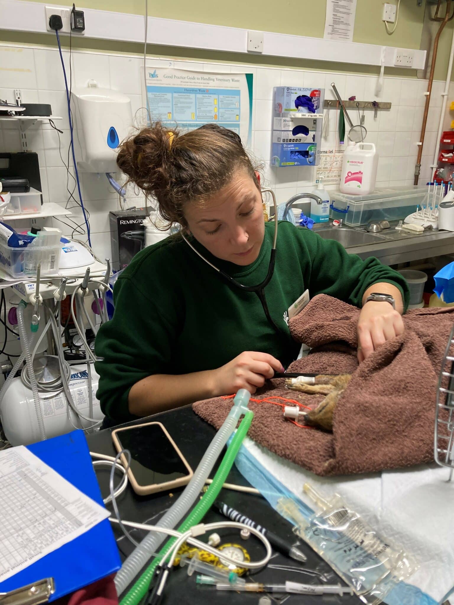 Veterinary Nurse Awareness Month 2025 Marwell Zoo