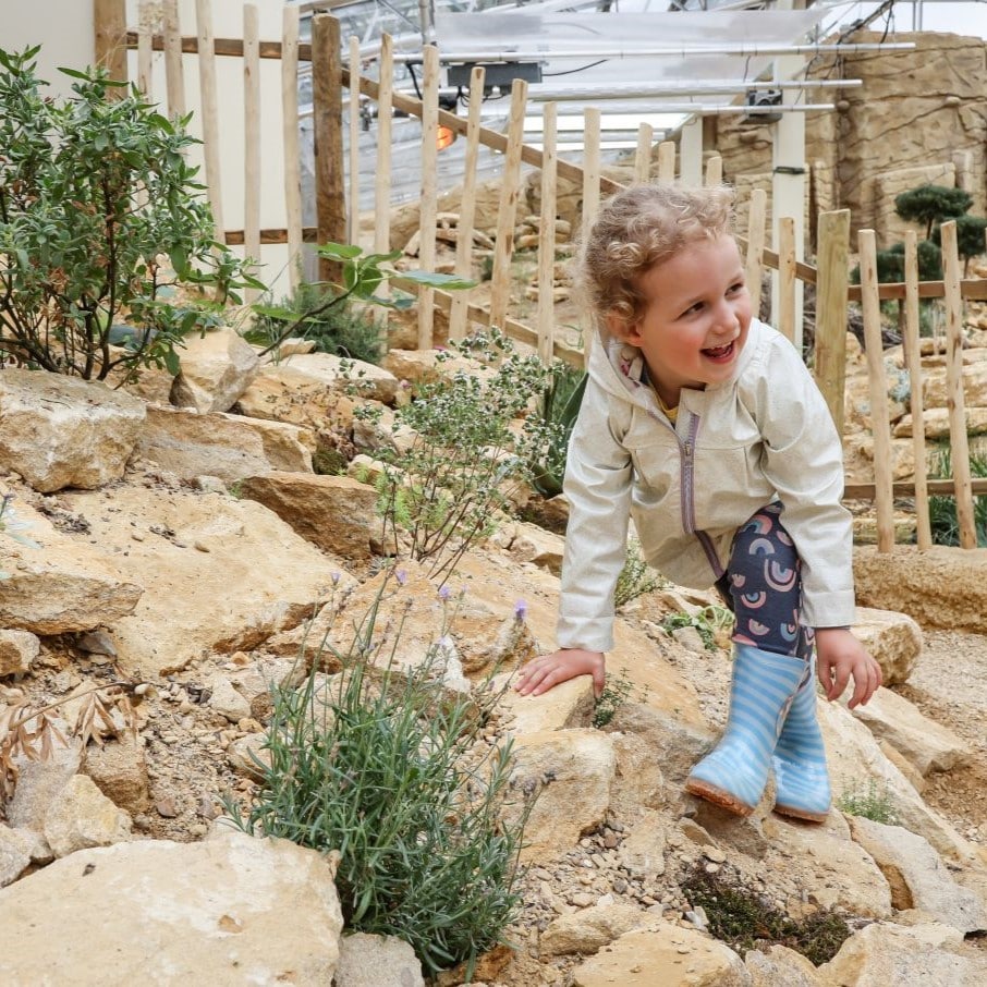 Child climbing in Thriving Through Nature at Marwell Zoo Credit Paul Collins