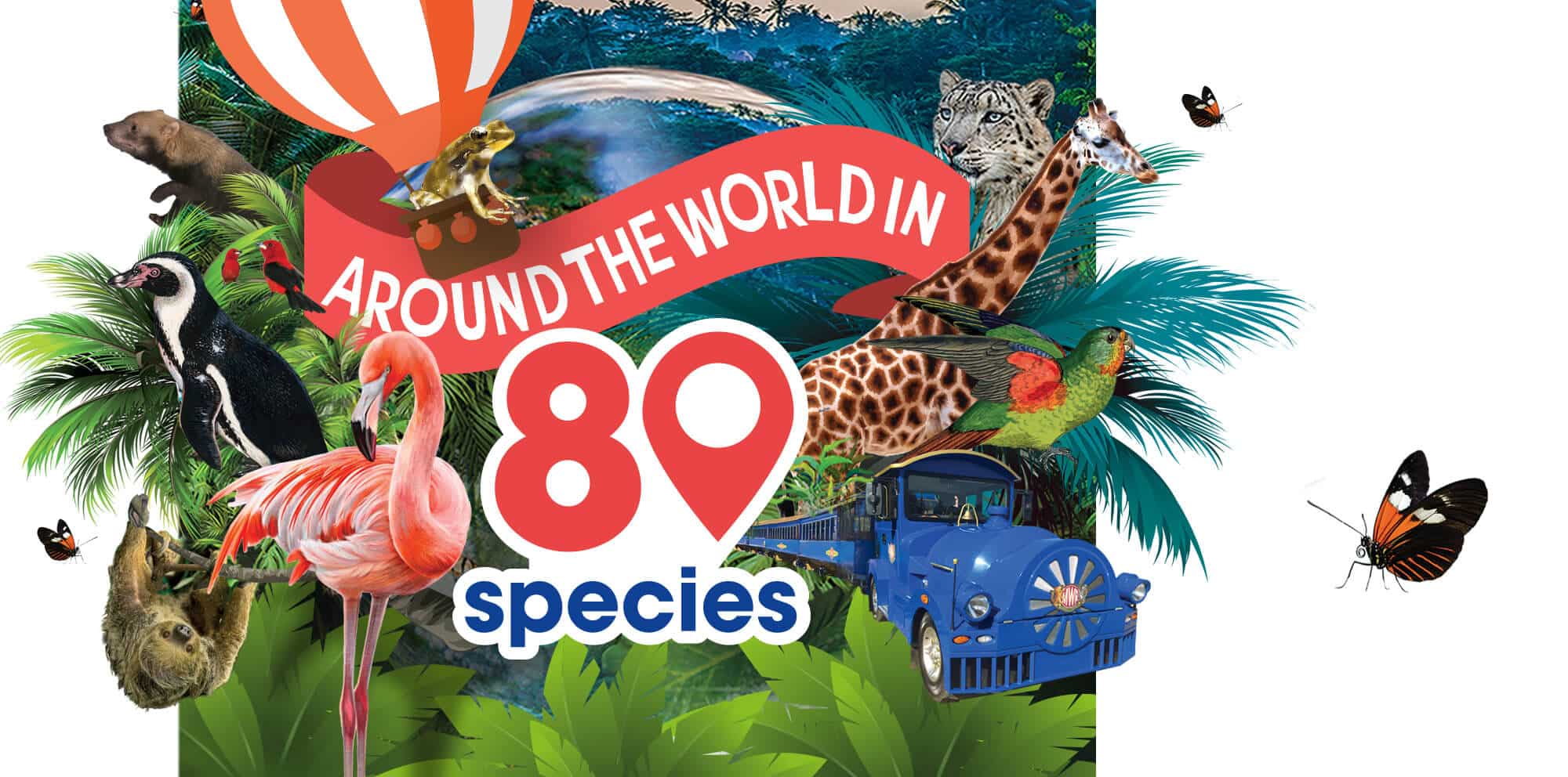 Around the World in 80 Species at Marwell Zoo