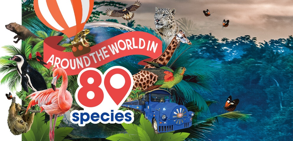 Around the World in 80 Species at Marwell Zoo