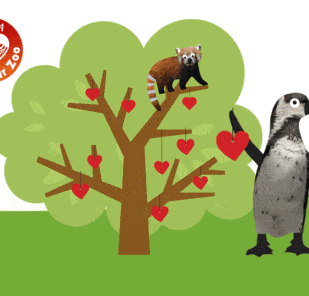 A graphic design of a penguin next to a tree full of hearts with the BIAZA Love Your Zoo logo