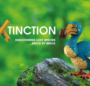 A dodo made out of toy bricks on a rock, with the wording: Extinction. Discovering lost species... brick by brick.