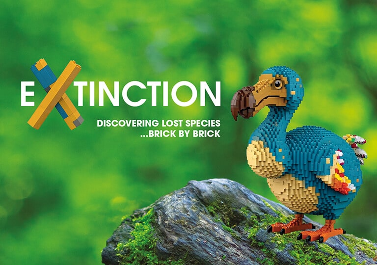 A dodo made out of toy bricks on a rock, with the wording: Extinction. Discovering lost species... brick by brick.