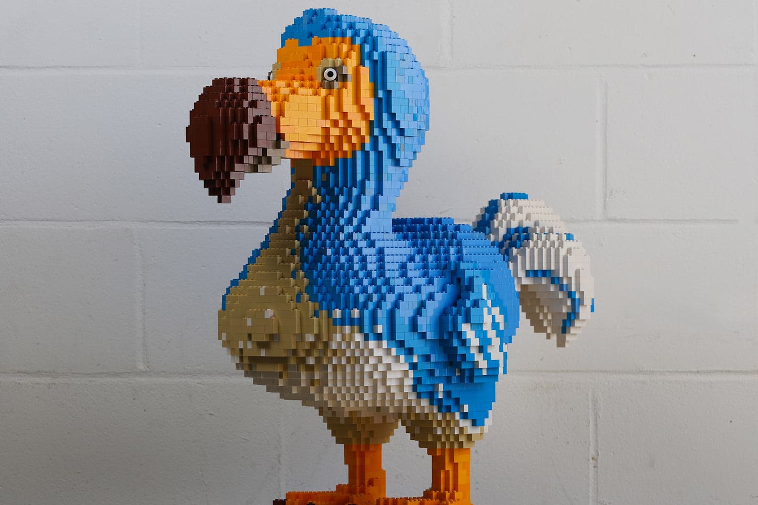 A dodo made out of toy bricks for Marwell Zoo's Extinction event