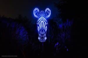 Glow-Marwell - Fluorefornia by Hannah Ayre - credit Kat Gollock