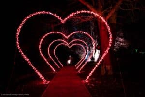 Glow-Marwell Heart Arch Walk - credit Kat Gollock