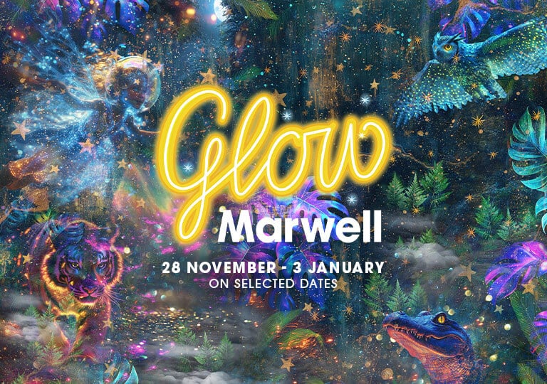An illustration with glowing animals and plants, with text saying Glow Marwell